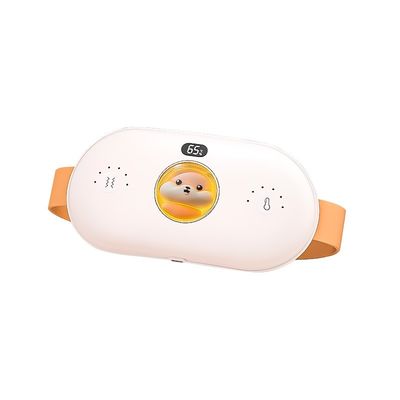 무선 원격 제어 스타일의 몸용 진동 마사저 등급 전력 2.5W