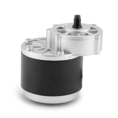 24V 250W / 350W 고토크 101mm 기어 DC 전기 모터 기계 필수