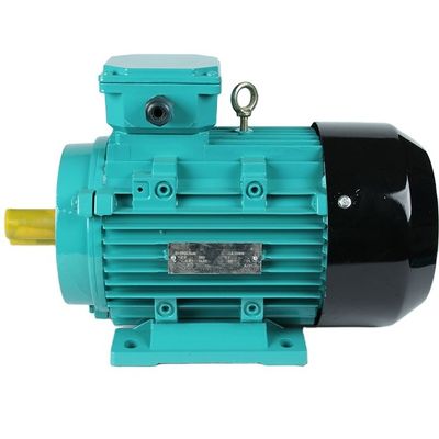10hp 20hp 30hp 380v 415v 440v 세 단계 AC 인덕션 모터와 6.2A 전압