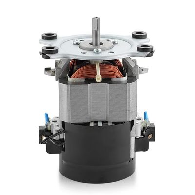 IE 1 효율 110V 220V AC 트레드밀 모터 머신 50/60Hz 단일 단계 AC 모터