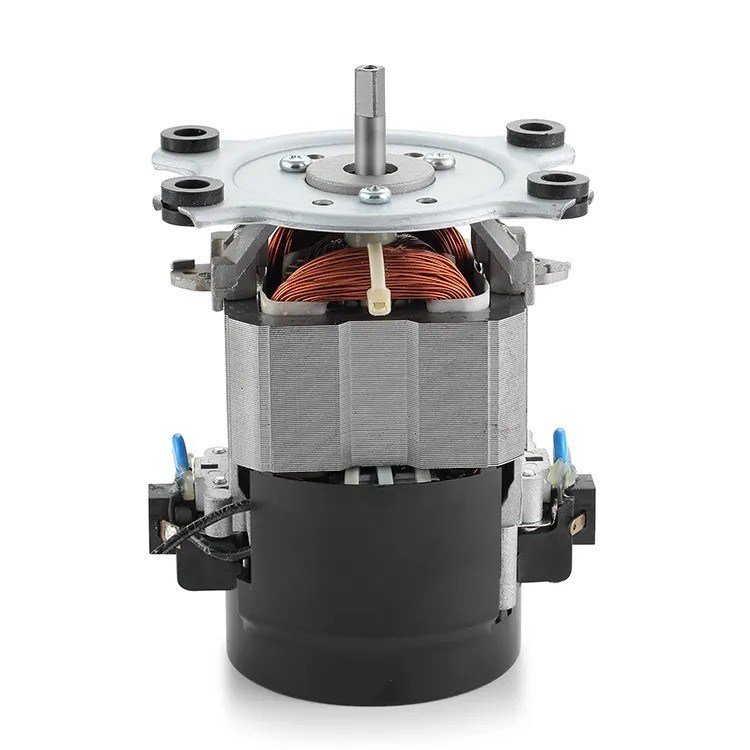 IE 1 효율 110V 220V AC 트레드밀 모터 머신 50/60Hz 단일 단계 AC 모터